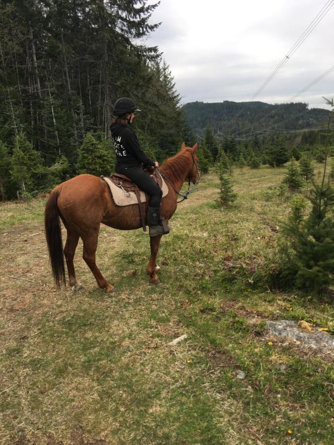 Maple Heart Ranch Villa Shawnigan Lake Bagian luar foto