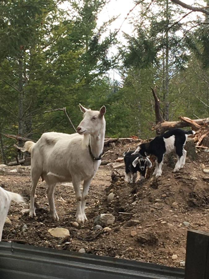 Maple Heart Ranch Hotel Shawnigan Lake Bagian luar foto